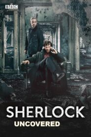 Sherlock: Uncovered 2012 one on netflix