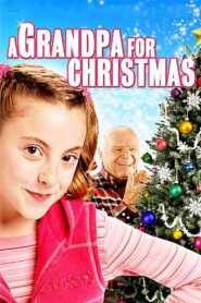 A Grandpa for Christmas 2007 one on netflix