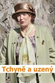 Tchyně a uzený 2011 one on netflix
