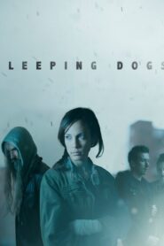 Sleeping Dogs 2013 one on netflix