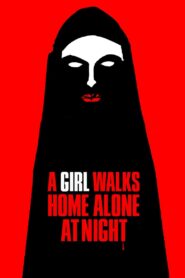 A Girl Walks Home Alone at Night 2014 one on netflix