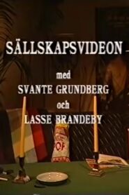 Sällskapsvideon 1993 one on netflix
