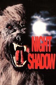 Night Shadow 1989 one on netflix