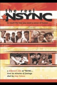 The Reel NSYNC 2002 one on netflix