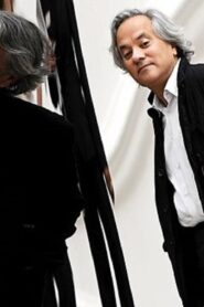 The Year of Anish Kapoor 2009 one on netflix