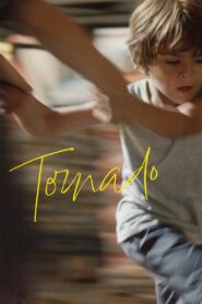 Tornado 2024 one on netflix