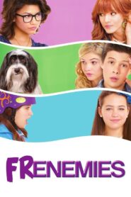 Frenemies 2012 one on netflix
