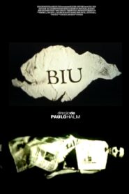 Biu, a Vida Real Não Tem Retake 1995 one on netflix