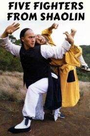 Five Fighters from Shaolin 1984 one on netflix