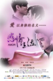 Ganqing shenghuo 2010 one on netflix