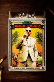 The Ambassador 2011 one on netflix