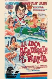 La loca academia de la mafia 1993 one on netflix