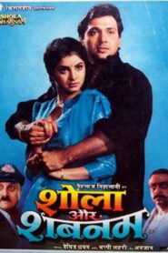Shola Aur Shabnam 1992 one on netflix