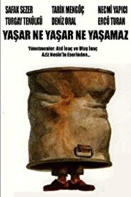 Yaşar Ne Yaşar Ne Yaşamaz 2008 one on netflix
