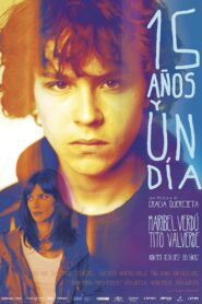15 Years and One Day 2013 one on netflix