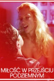 Love in an Underground Passage 2007 one on netflix