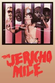 The Jericho Mile 1980 one on netflix