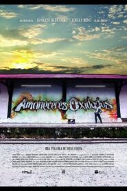 Oxidized Dawnings 2013 one on netflix
