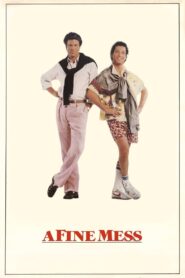 A Fine Mess 1986 one on netflix