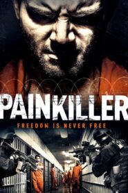 Painkiller 2013 one on netflix