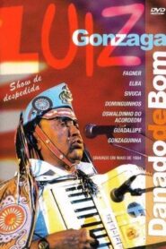 Luiz Gonzaga – Danado de Bom 2003 one on netflix