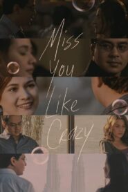 Miss You Like Crazy 2010 one on netflix