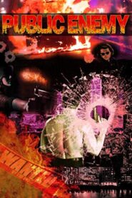 Public Enemy 1998 one on netflix