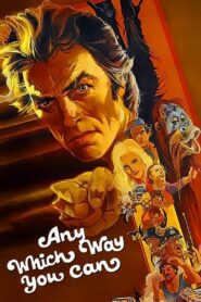 Any Which Way You Can 1980 one on netflix