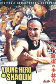 The Young Hero of Shaolin 1984 one on netflix