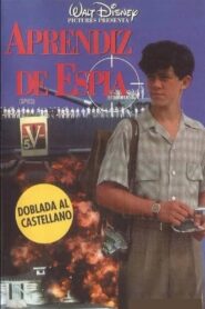 Spies 1993 one on netflix