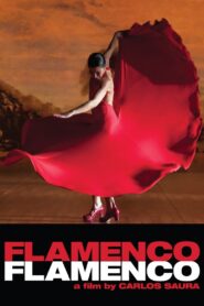 Flamenco Flamenco 2010 one on netflix