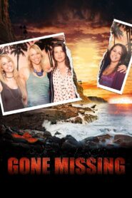 Gone Missing 2013 one on netflix