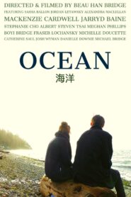 OCEAN 2020 one on netflix