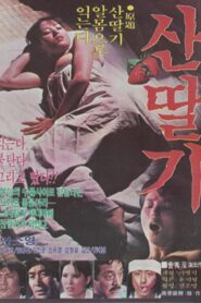 Mountain Strawberries 1982 one on netflix
