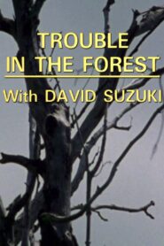 Trouble in the Forest 1988 one on netflix