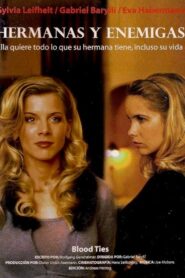 Feindliche Schwestern – Wenn aus Liebe Hass wird 2000 one on netflix