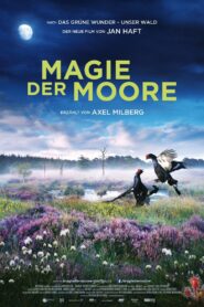 Magie der Moore 2015 one on netflix