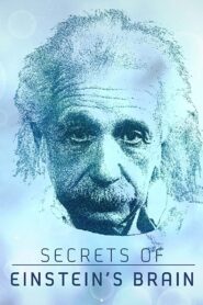 Secrets of Einstein’s Brain 2015 one on netflix