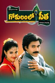 Gokulamlo Seetha 1997 one on netflix