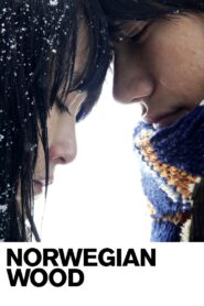 Norwegian Wood 2010 one on netflix