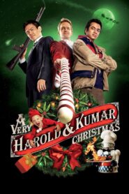 A Very Harold & Kumar Christmas 2011 one on netflix