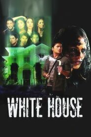 White House 2010 one on netflix