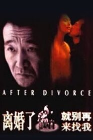 After Divorce 1996 one on netflix