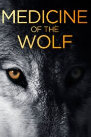 Medicine of the Wolf 2015 one on netflix