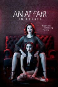 An Affair to Forget 2022 one on netflix