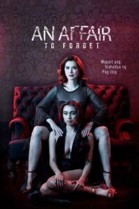 An Affair to Forget 2022 one on netflix