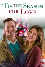‘Tis the Season for Love 2015 one on netflix