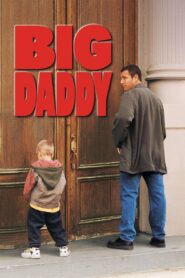 Big Daddy 1999 one on netflix