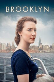Brooklyn 2015 one on netflix