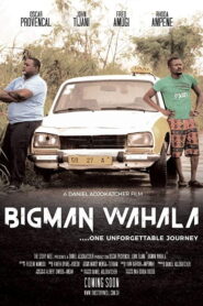 Bigman Wahala 2020 one on netflix